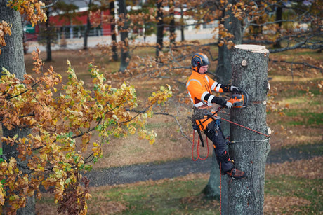 Husqvarna 550i XP akkusaha runko