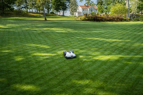 Husqvarna Automower 450V NERA robottiruohonleikkuri
