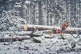 Husqvarna 560 XP G Mark II moottorisaha