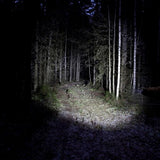Ledwise Saint 1000 lm taskulamppu