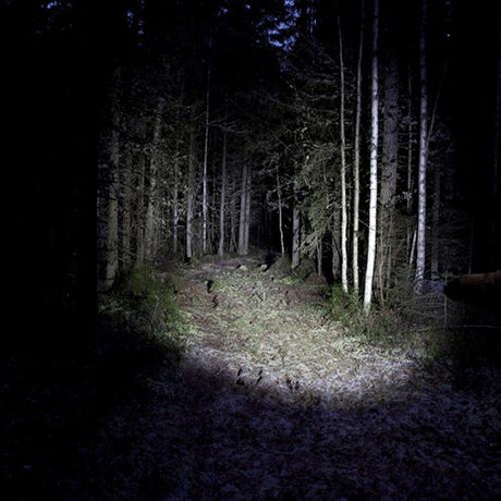 Ledwise Saint 1000 lm taskulamppu